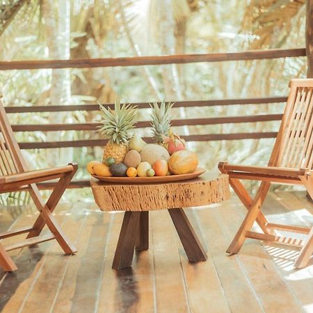 Hotel Buenavista Bacalar Jungle Experience Eksteriør billede