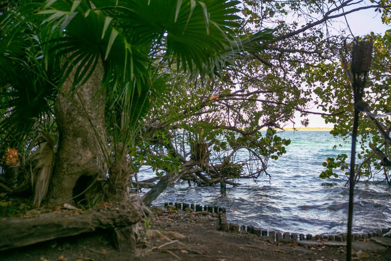 Hotel Buenavista Bacalar Jungle Experience Eksteriør billede