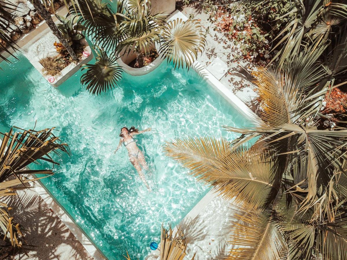 Hotel Buenavista Bacalar Jungle Experience Eksteriør billede