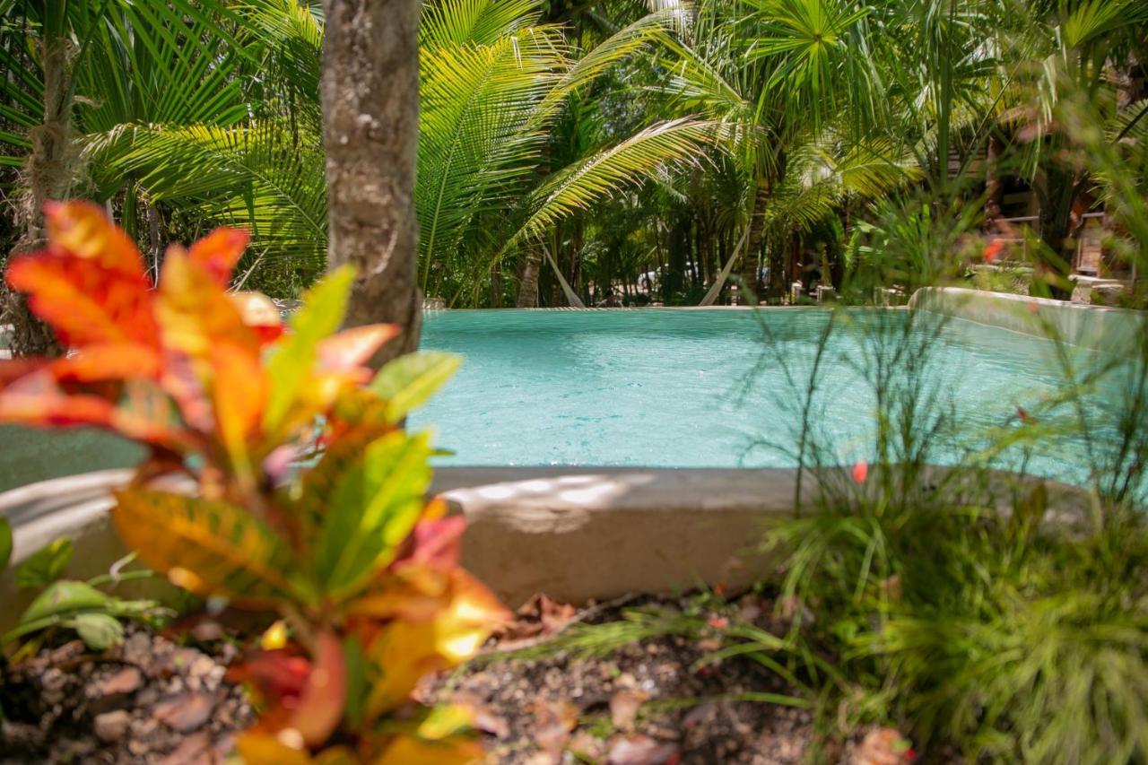 Hotel Buenavista Bacalar Jungle Experience Eksteriør billede