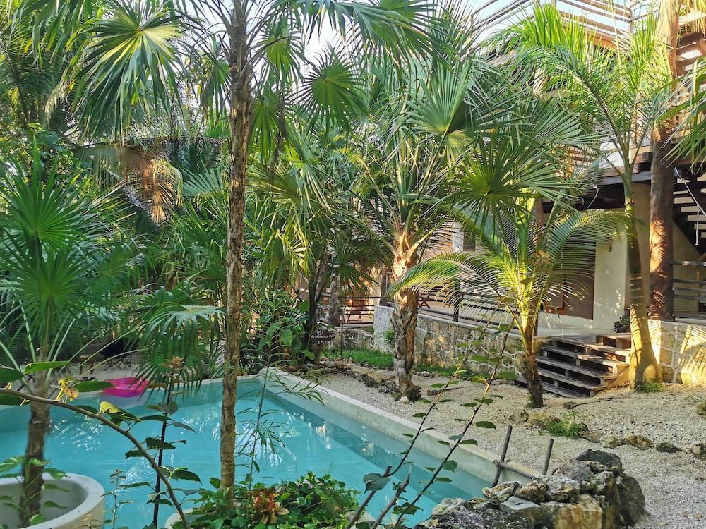 Hotel Buenavista Bacalar Jungle Experience Eksteriør billede