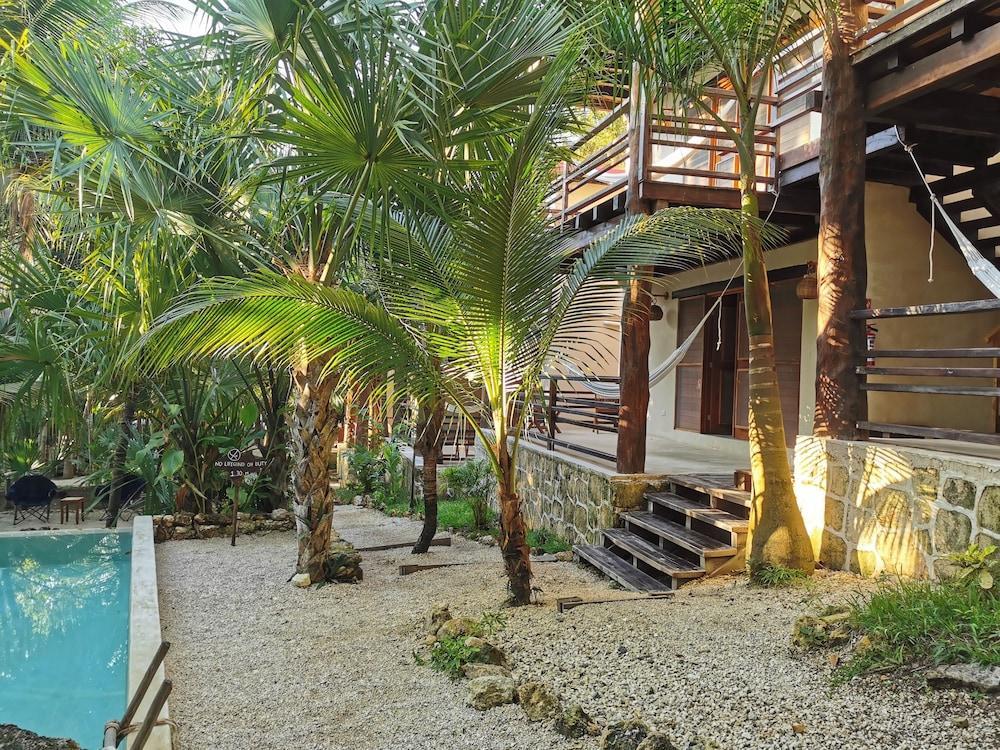 Hotel Buenavista Bacalar Jungle Experience Eksteriør billede