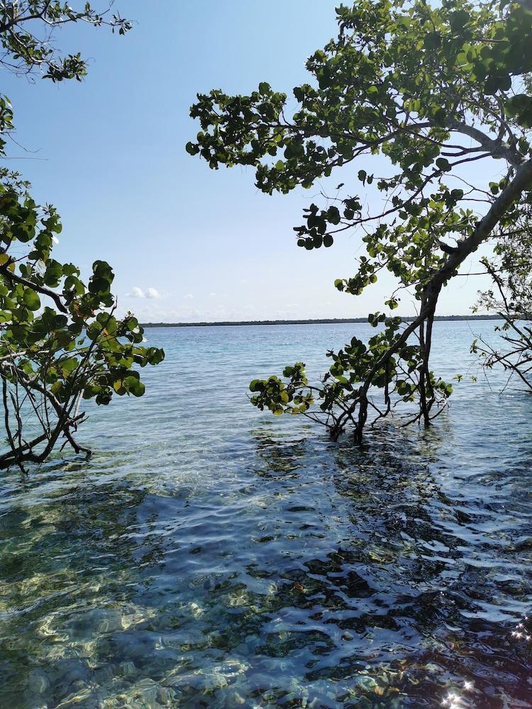 Hotel Buenavista Bacalar Jungle Experience Eksteriør billede