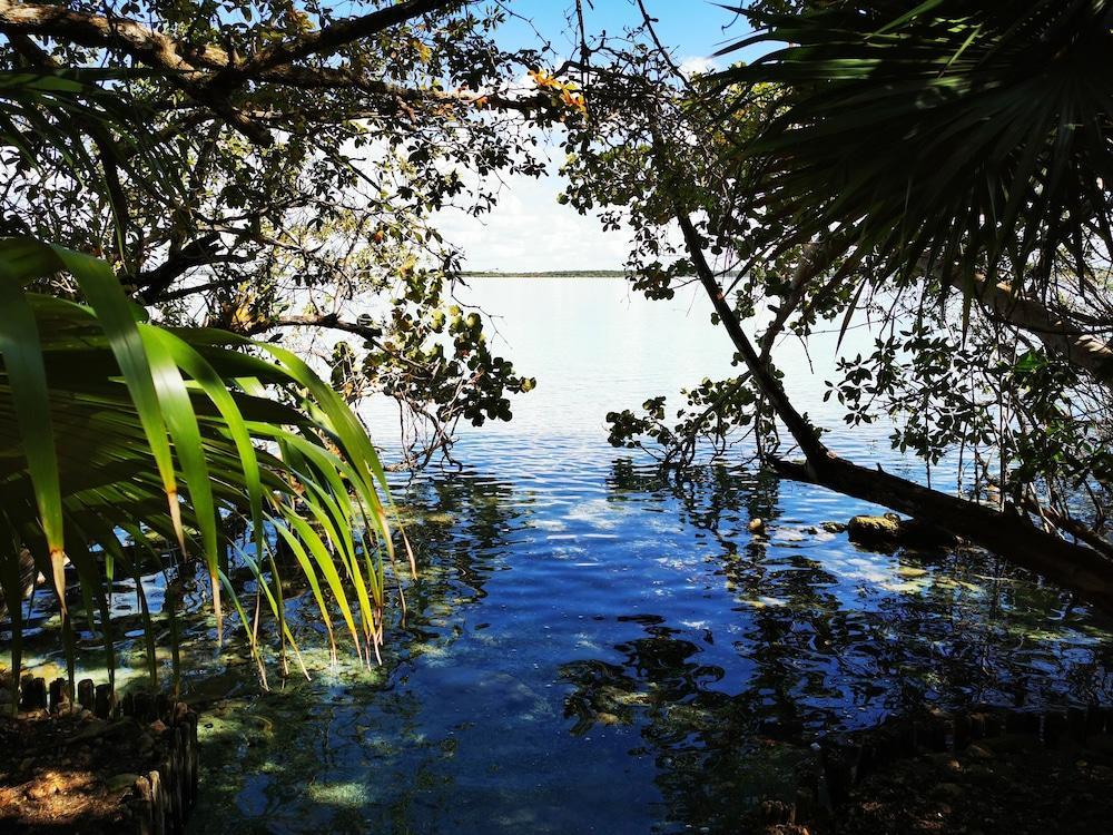 Hotel Buenavista Bacalar Jungle Experience Eksteriør billede