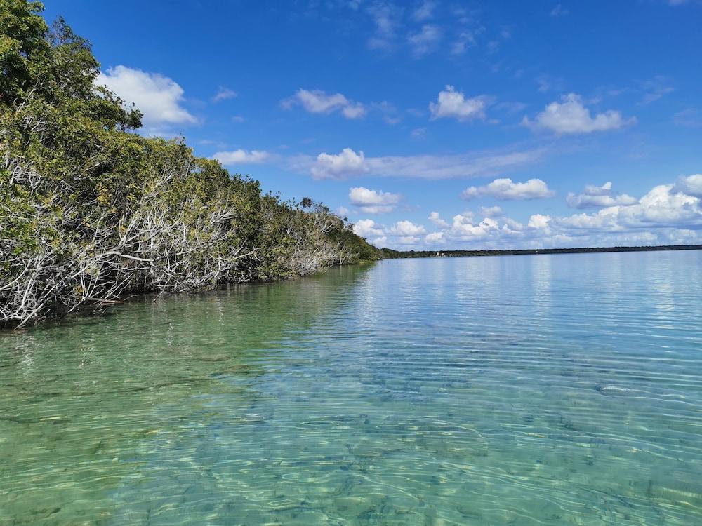 Hotel Buenavista Bacalar Jungle Experience Eksteriør billede